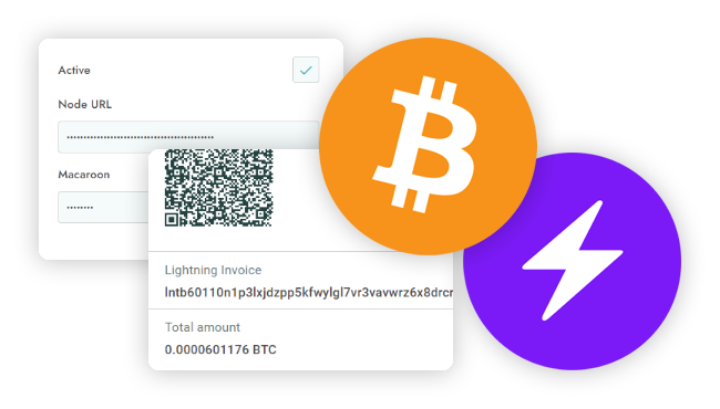 Lightning Network